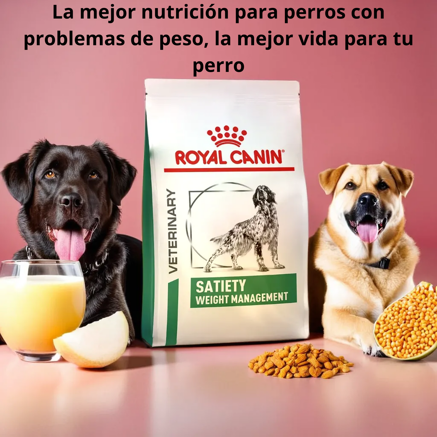 Royal Canin Satiety Support 12 Kg