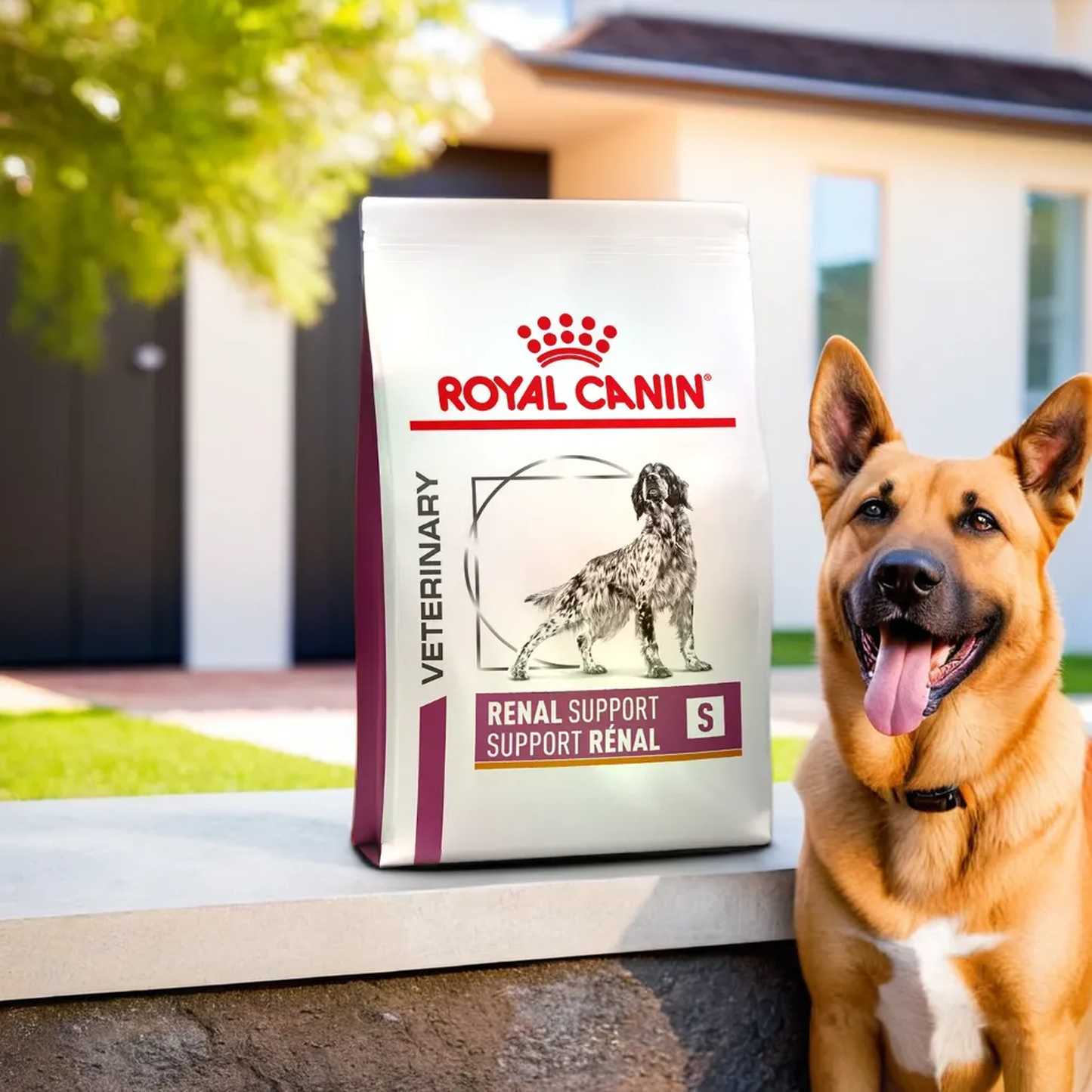 Royal Canin Renal Support S Canine 8 Kg