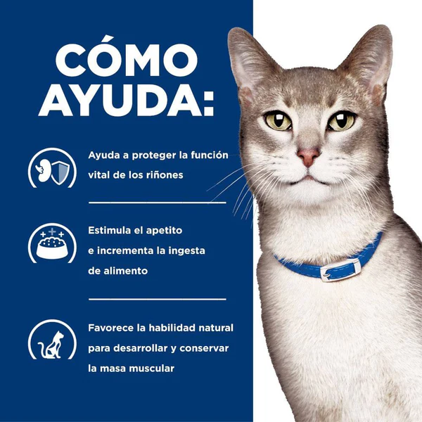 Hill’s Prescription Diet k/d para Gato – Cuidado Renal en Latas Húmedas (24 x 156g)