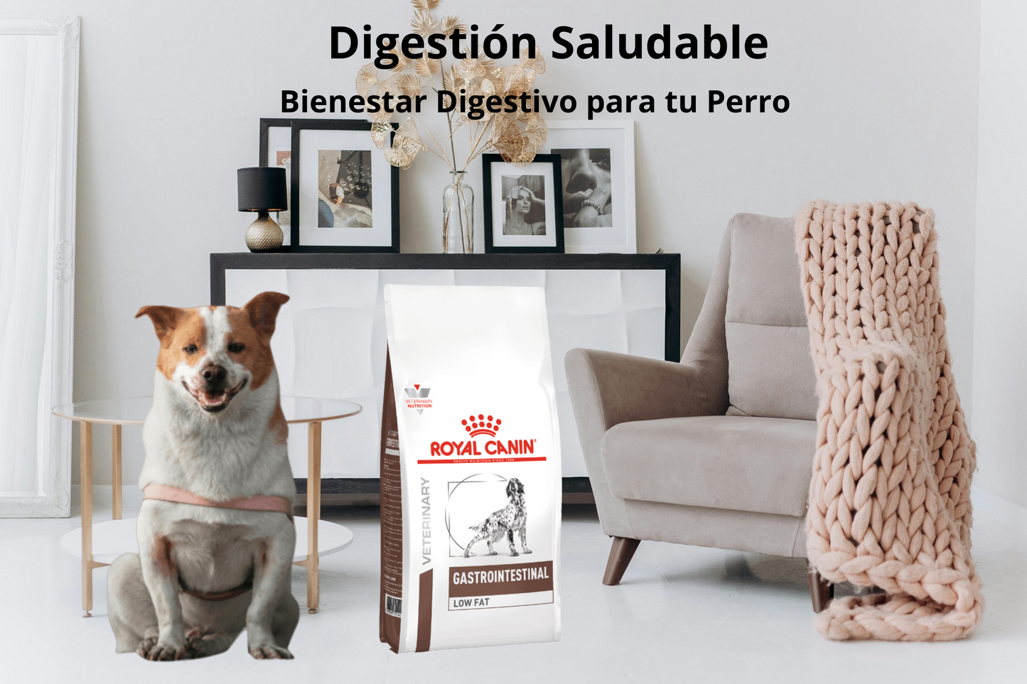 Royal Canin Gastrointestinal Low Fat 13 Kg