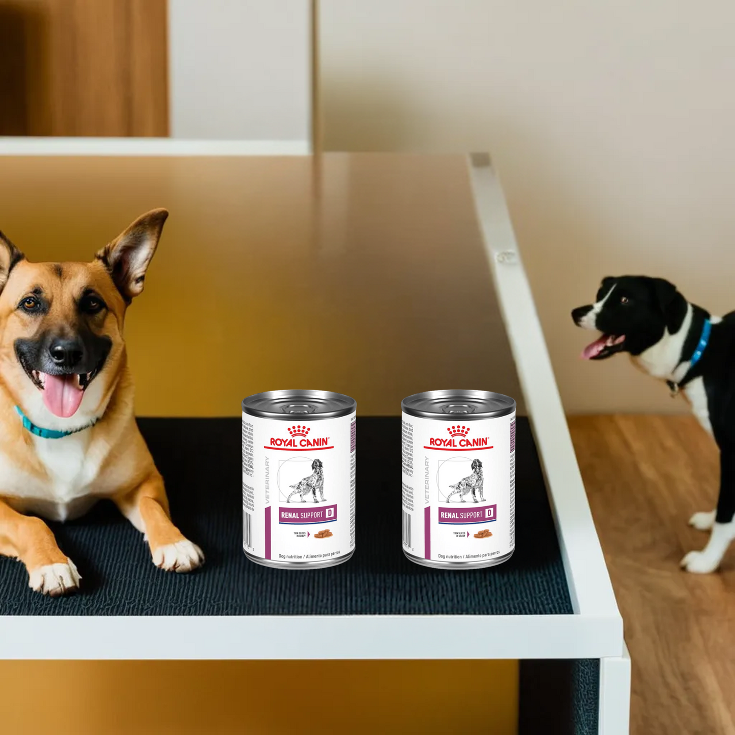 Royal Canin Renal Support D Morsels In Gravy Canine Lata 370 Gr