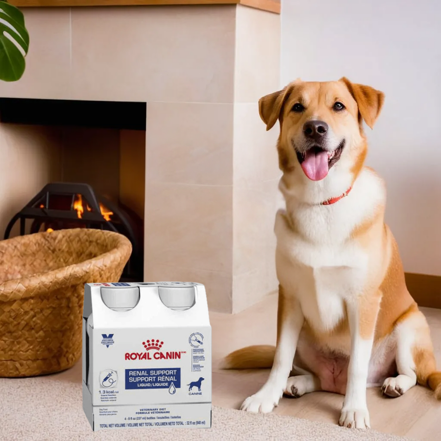 Royal Canin ICU Liquid Renal Support Canine (Pack de 4 Unidades)