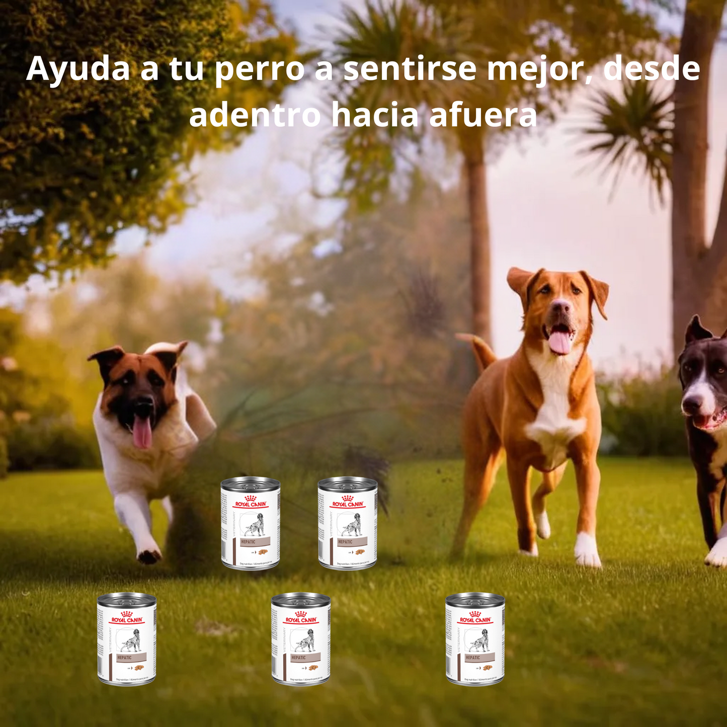 Royal Canin Hepatic Lata 390 Gr