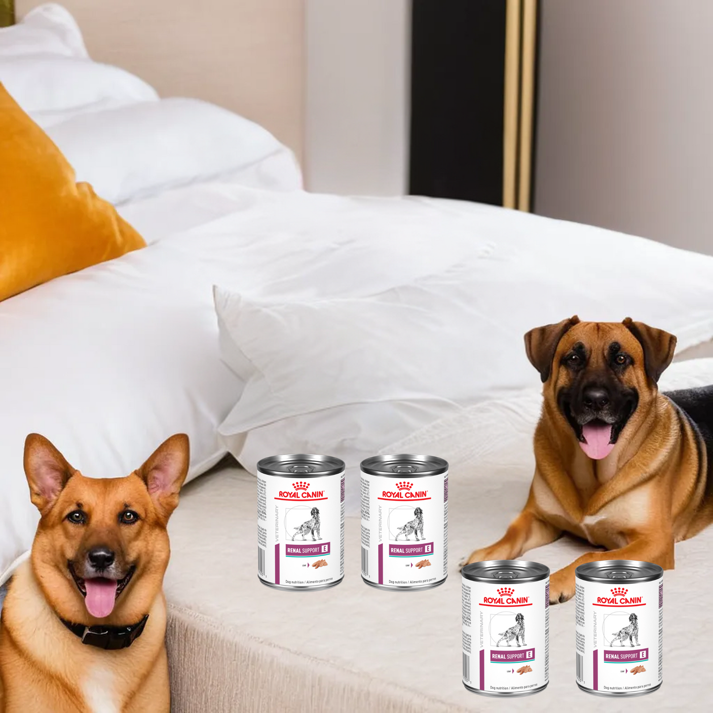 Royal Canin Renal Support E Canine Lata 385 Gr