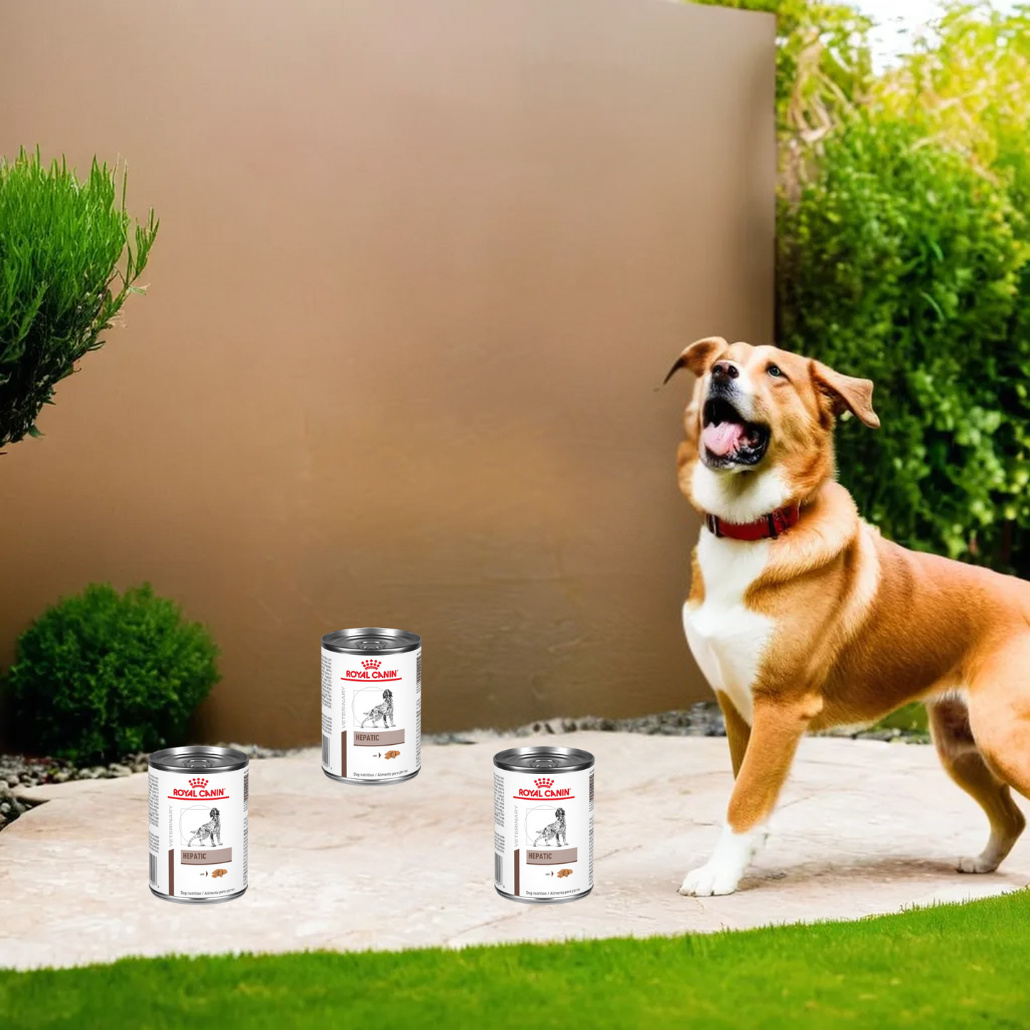 Royal Canin Hepatic Lata 390 Gr