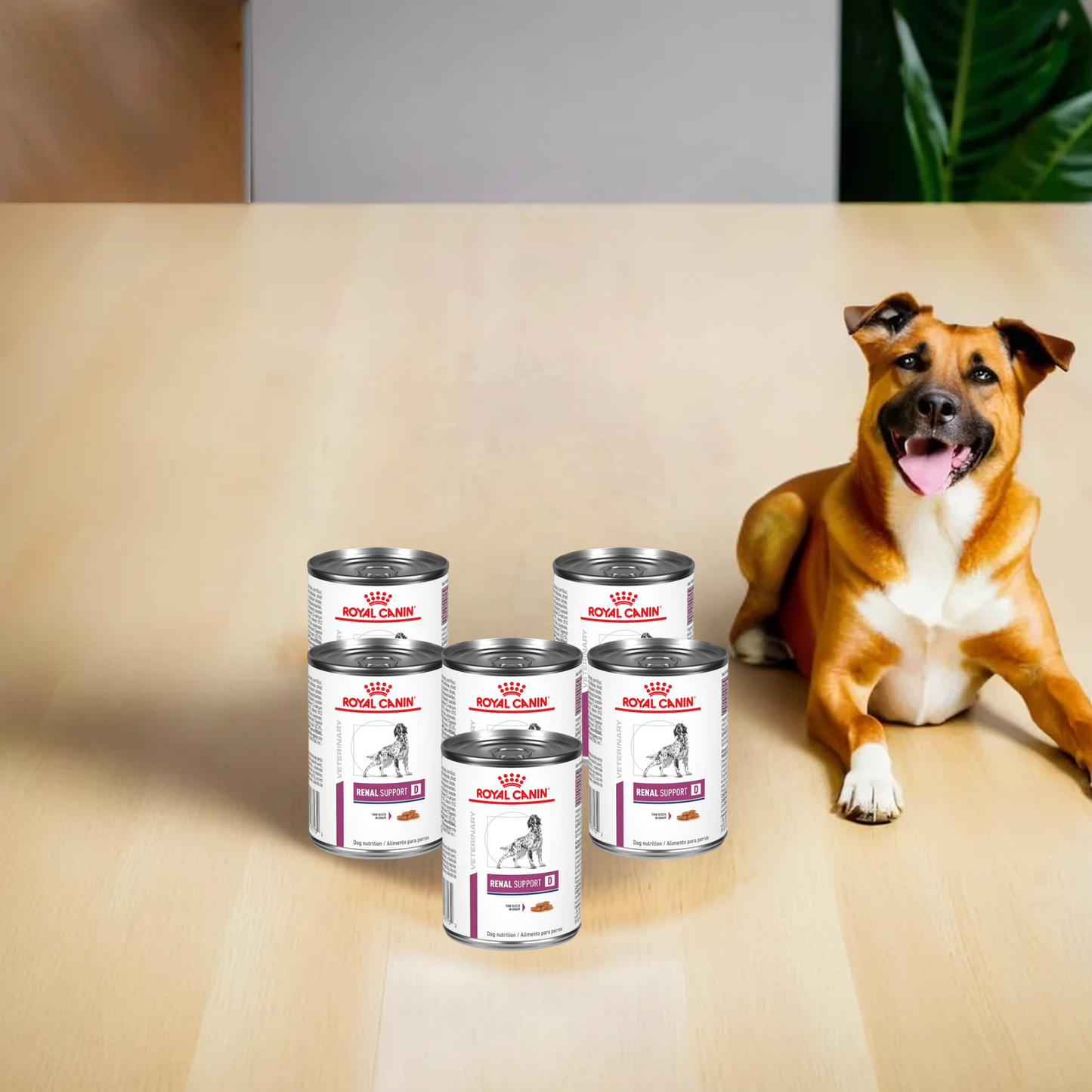 Royal Canin Renal Support D Morsels In Gravy Canine Lata 370 Gr