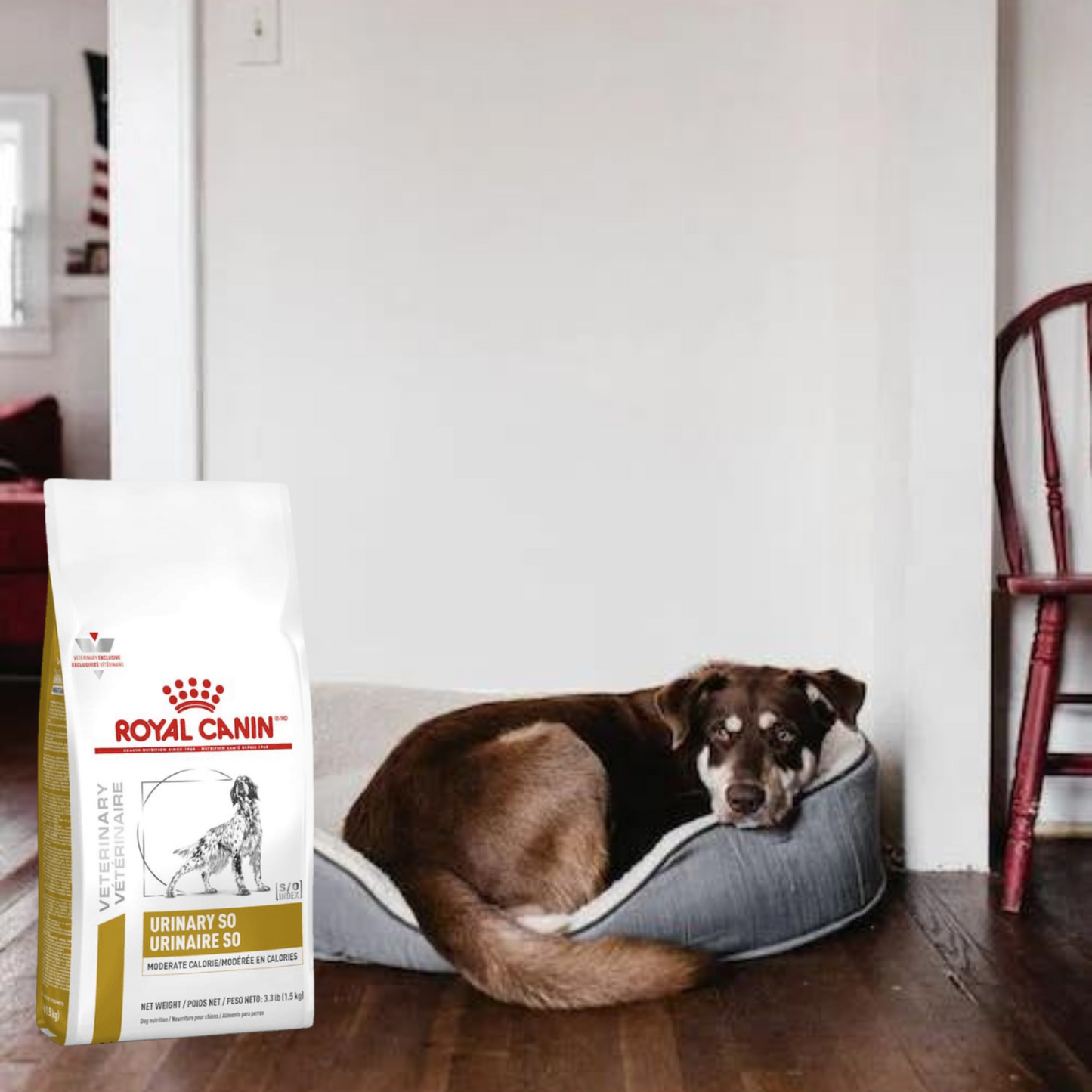 Royal Canin Urinary SO Moderate Calorie 3.5Kg