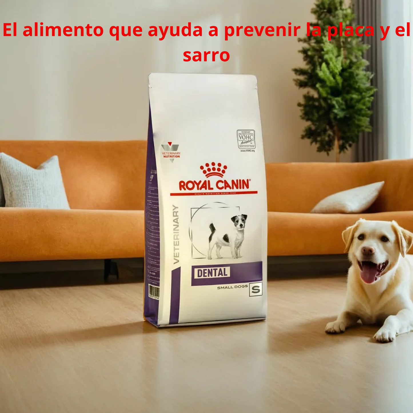 Royal Canin Dental Small Dog Dry 4 Kg