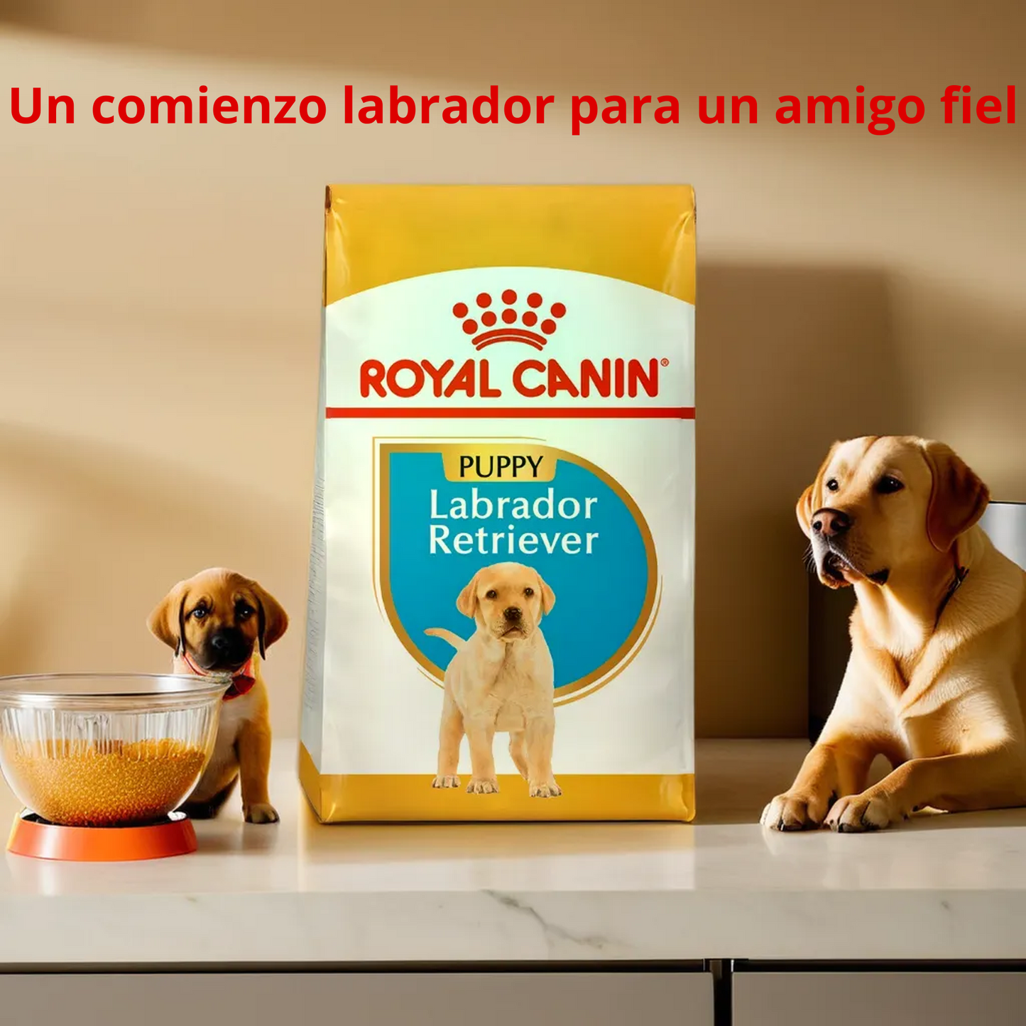 Royal Canin BHN Labrador Retriever Puppy 13.6 Kg