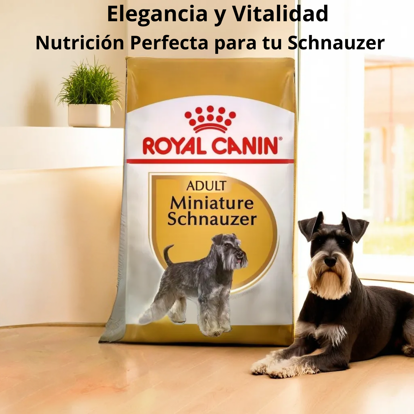Royal Canin BHN Miniature Schnauzer 4.55 Kg