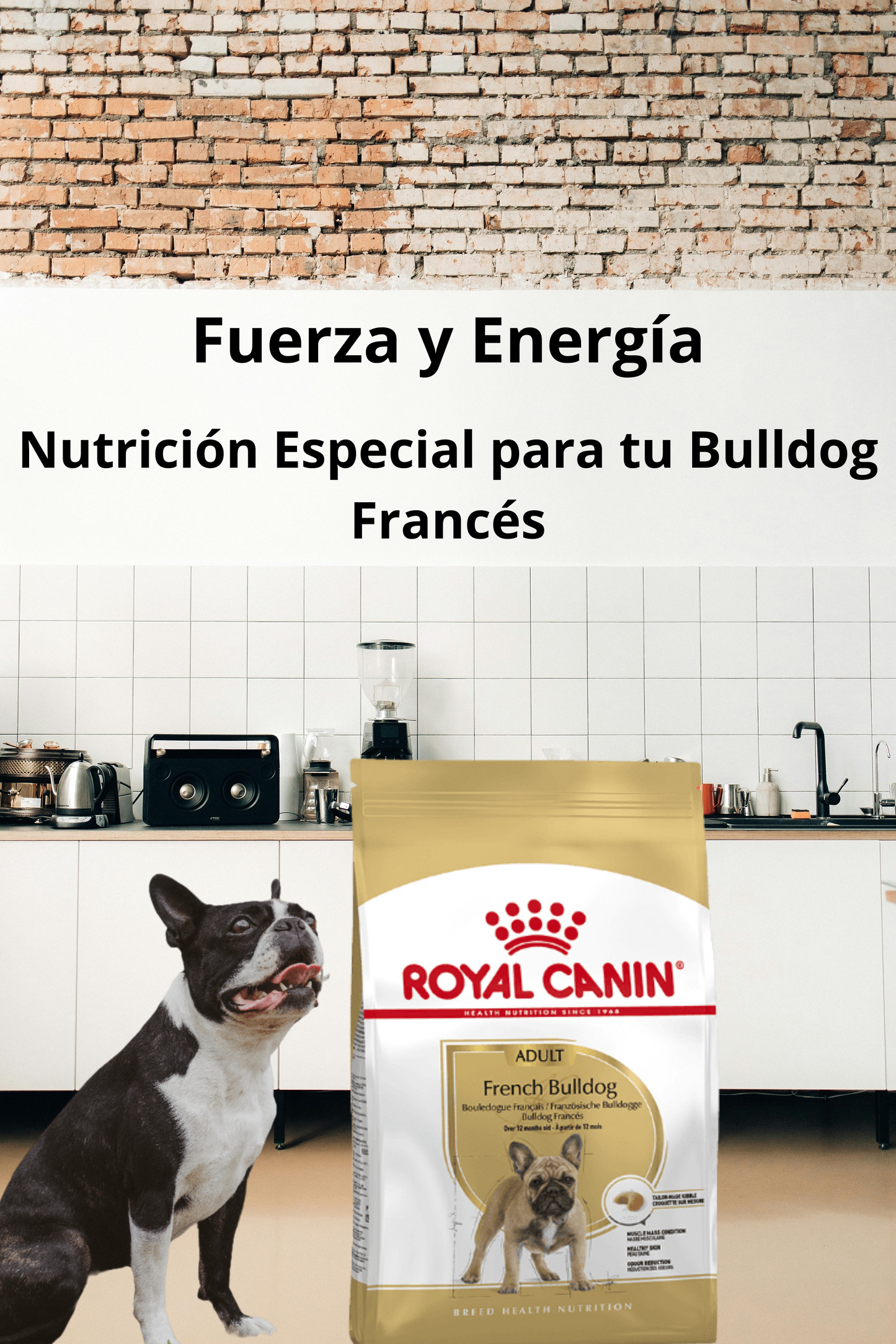 Royal Canin French Bulldog Adult 7.72 Kg