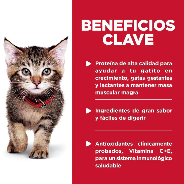 Hill’s Science Diet Kitten Pouch – Platillo de Pollo Saludable para Gatito (24 Unidades de 79 g)