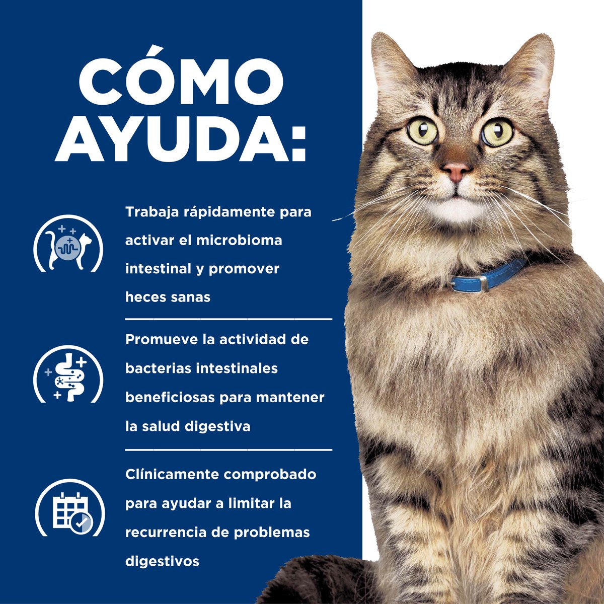 Hill's Prescription Diet Gastrointestinal Biome Estofado para Gato Adulto – Caja con 24 Latas de 80g