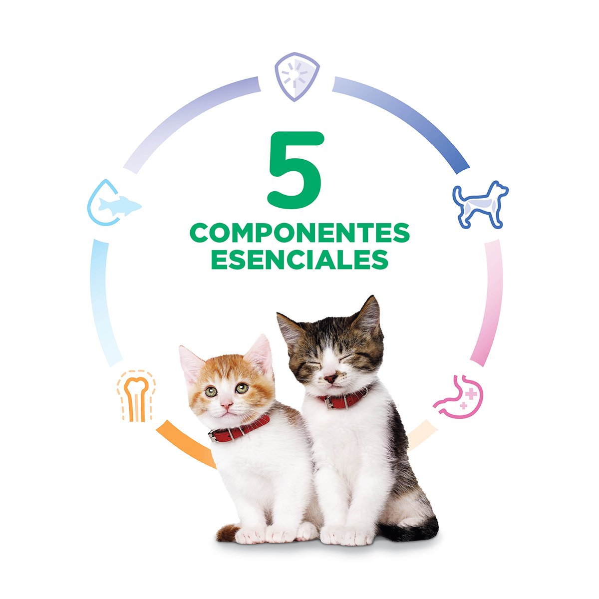 Hill’s Science Diet Gatito – Alimento Húmedo Receta de Hígado (24 Latas de 156 g)