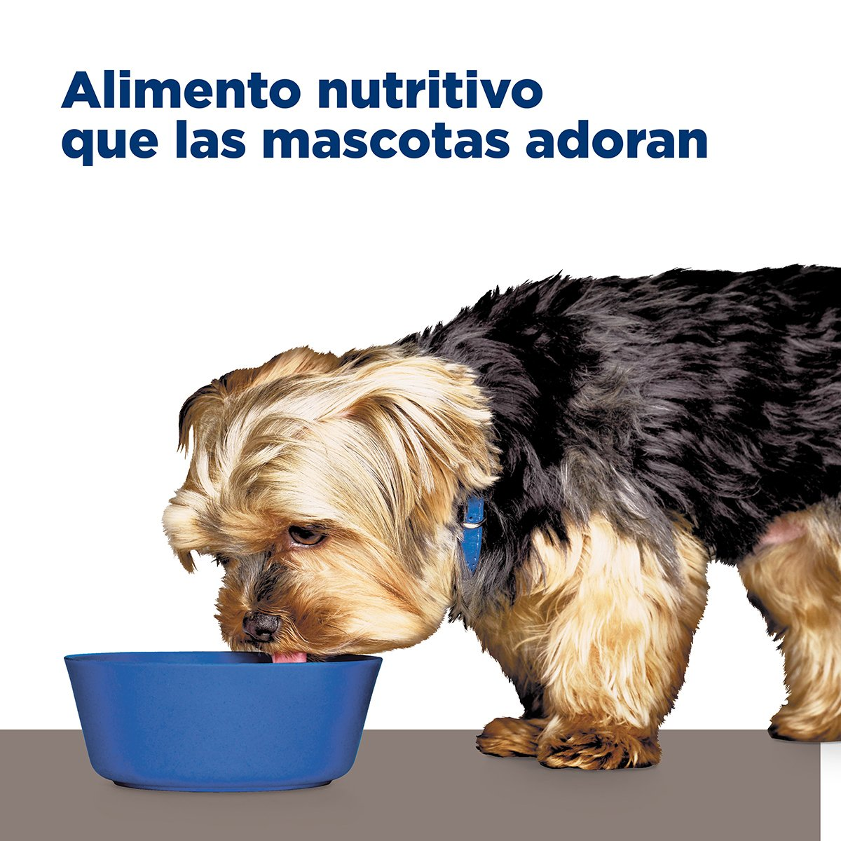 🍽️ Hill’s l/d en Lata – Cuidado Hepático con Sabor y Confianza 🐾