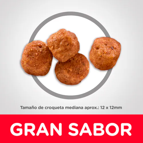 Hill’s Adulto 7+ – Amor y Nutrición para su Mejor Edad