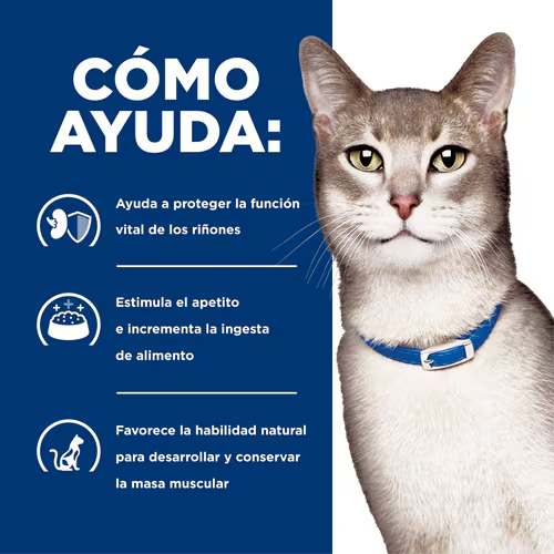 Apoya la Salud Renal de tu Gato con Hill’s k/d Receta de Pollo
