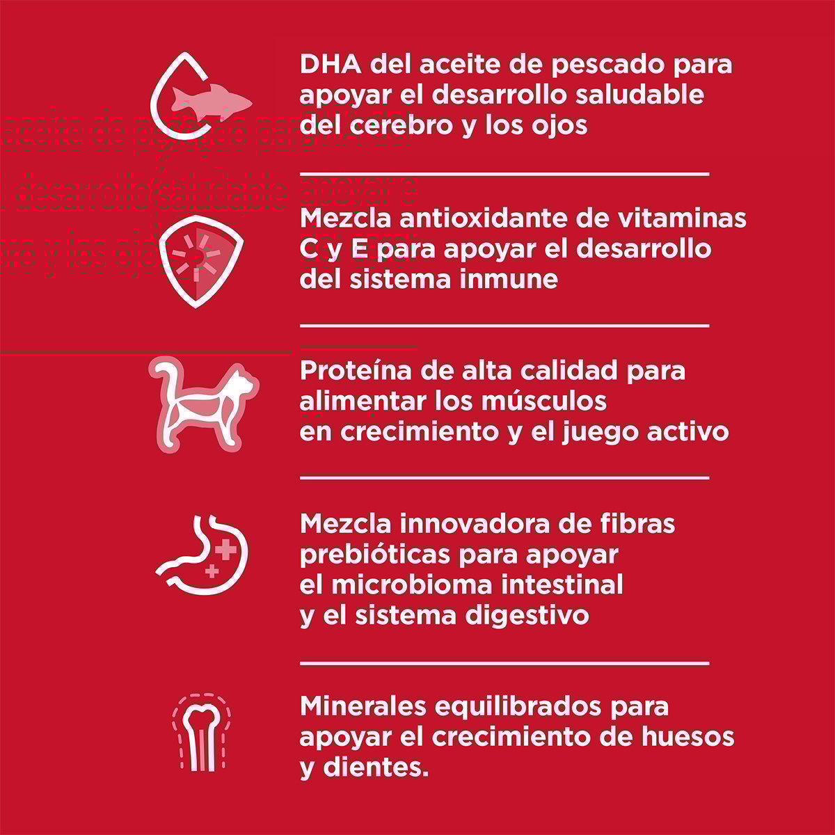 Hill’s Science Diet Gatito – Alimento Húmedo Receta de Hígado (24 Latas de 156 g)