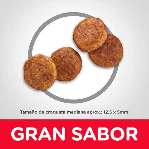 ¡Más años de alegría! Nutre a tu Perro Senior con Hill’s Senior Vitality Sabor Pollo
