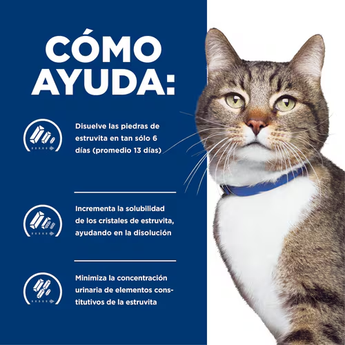 Adiós a los Cálculos: Hill’s s/d para Gatos con Problemas Urinarios