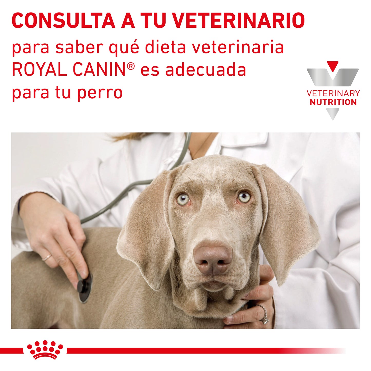 Royal Canin Gastrointestinal 10 Kg
