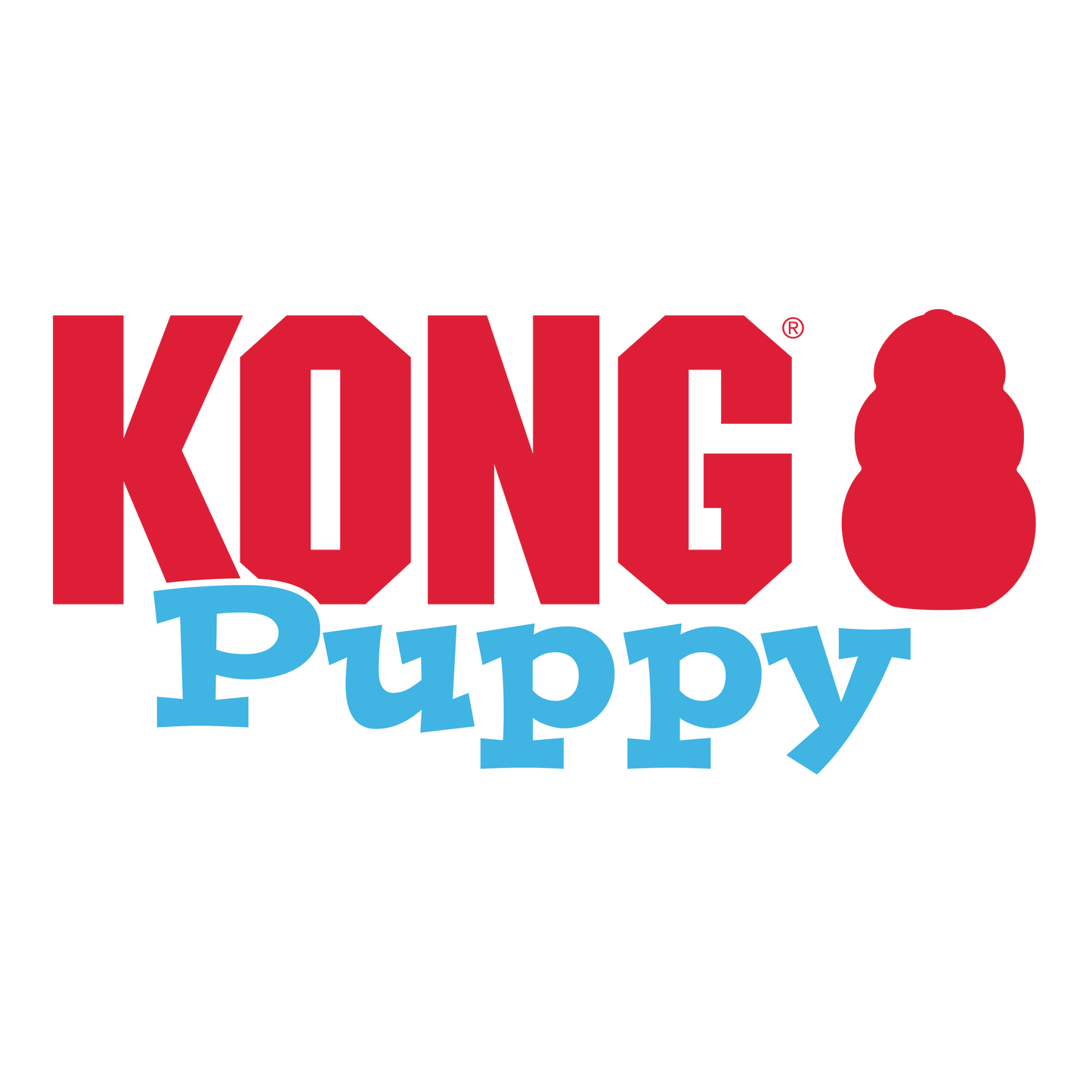 Kong Cachorro