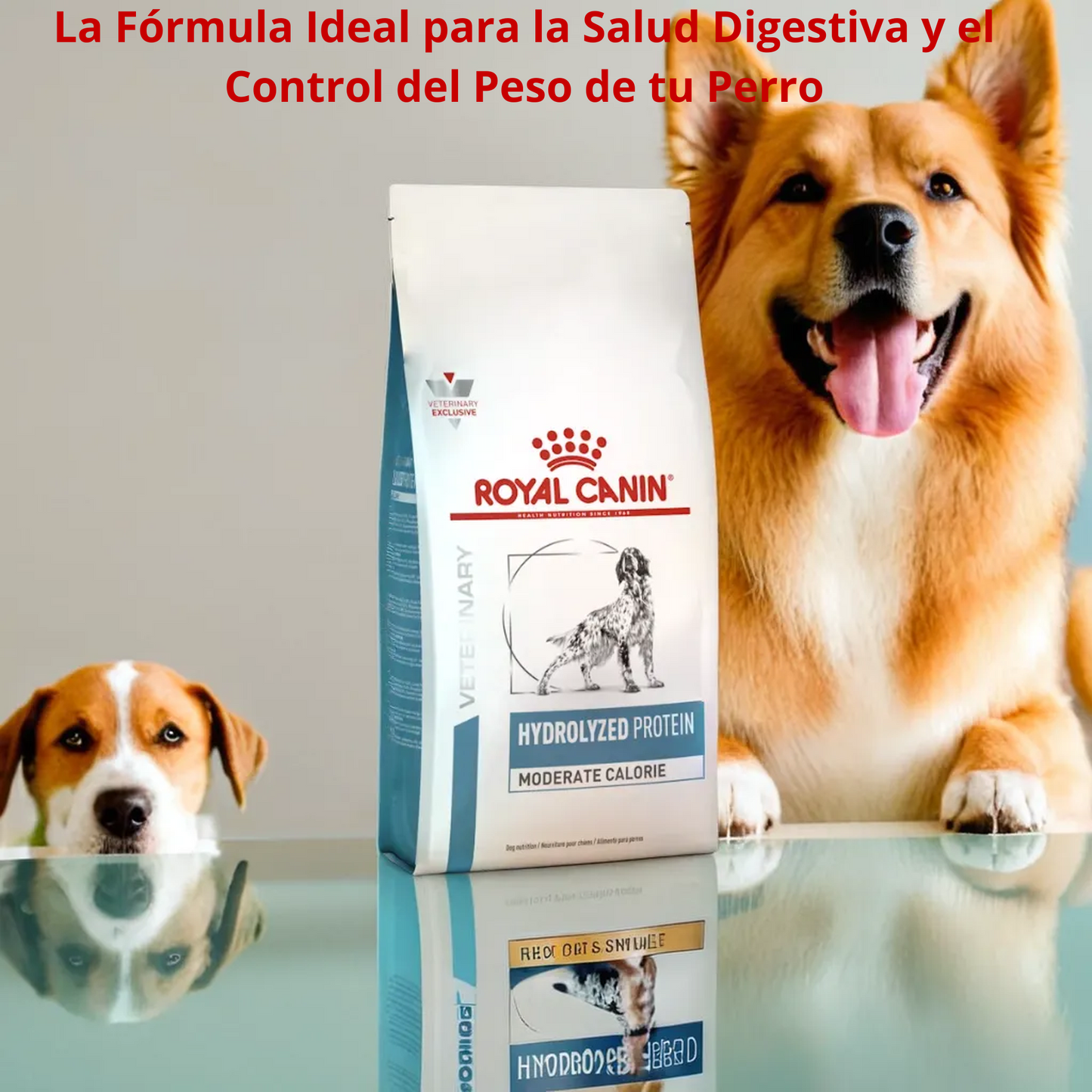 Royal Canin Hydrolyzed Protein Moderate Calorie 11 Kg