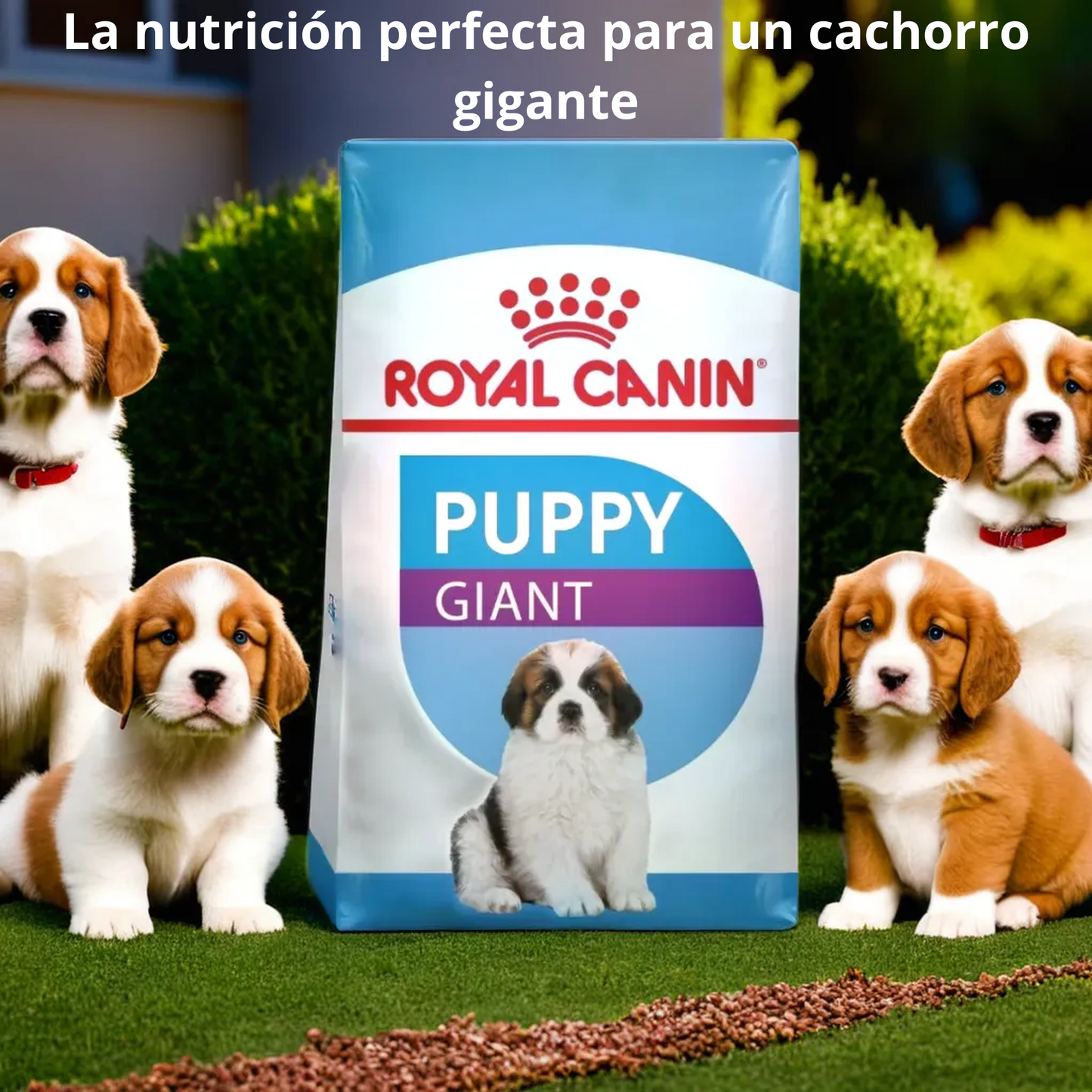 Royal Canin Giant puppy 13.6 Kg