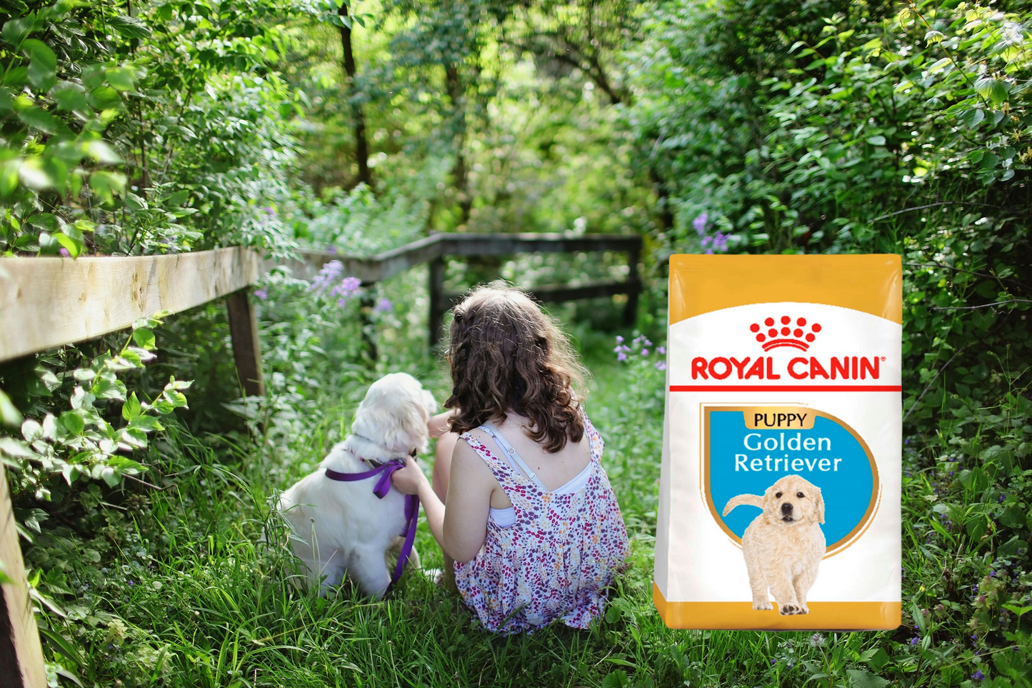 Royal Canin BHN Golden Retriever Puppy 13.6 Kg