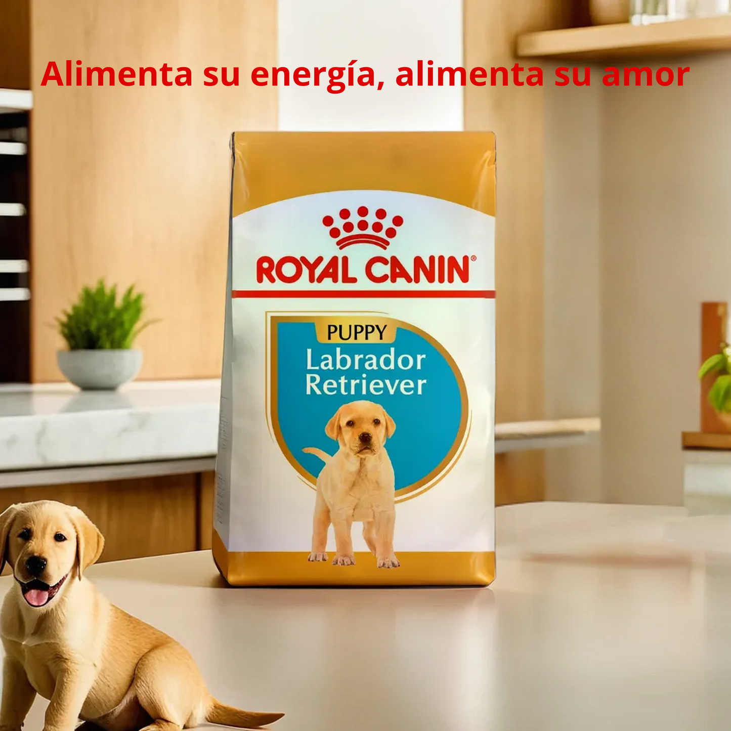 Royal Canin BHN Labrador Retriever Puppy 13.6 Kg