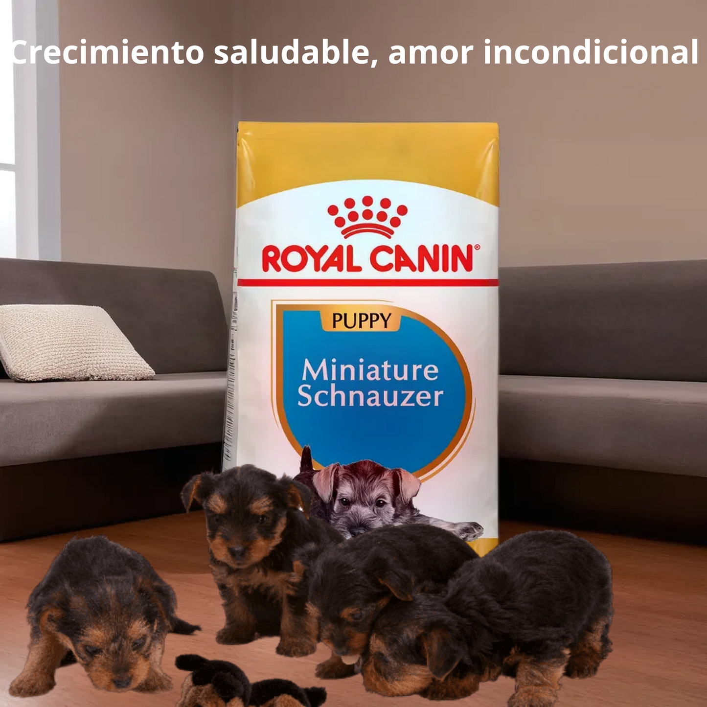 Royal Canin BHN Miniature Schnauzer Puppy 1.14 Kg