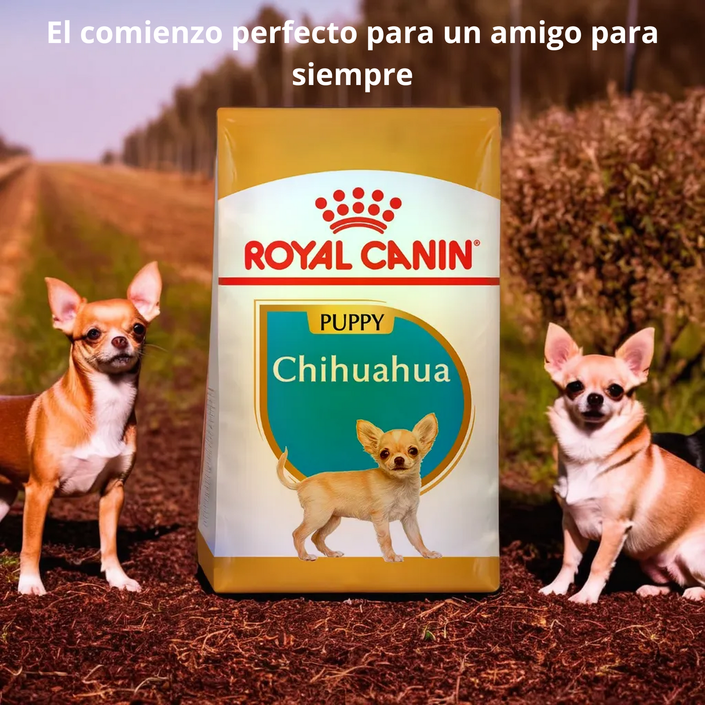 Royal Canin BHN Chihuahua Puppy 1.14 Kg