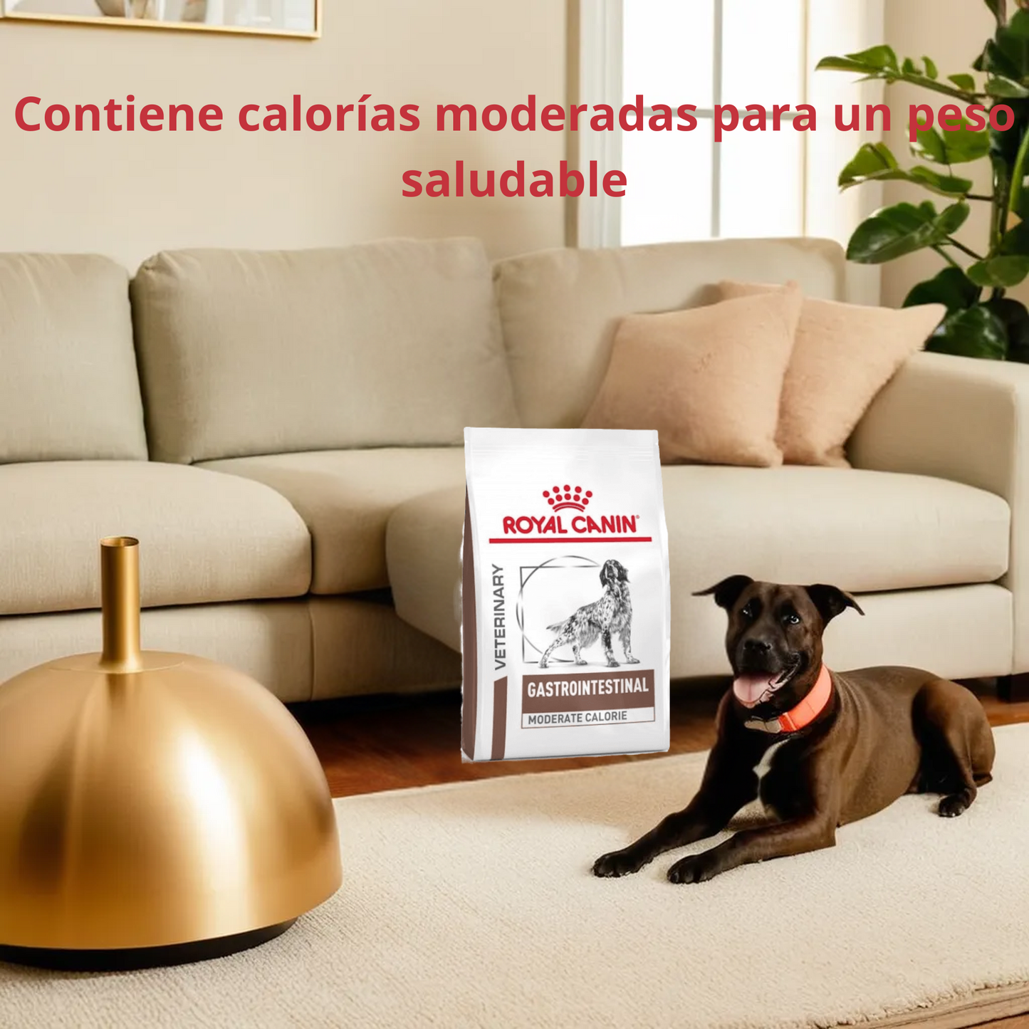 Royal Canin GI Moderate calorie 3.5 Kg