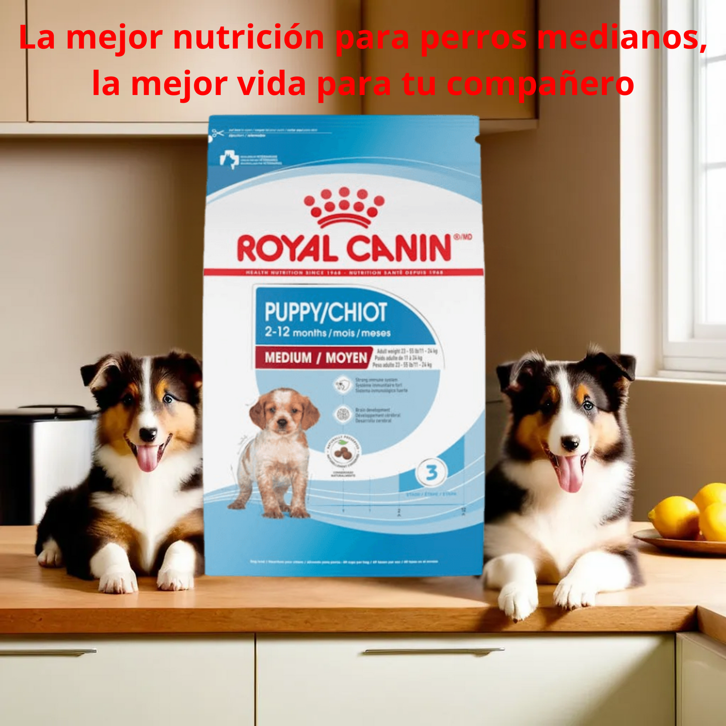 Royal Canin Medium Puppy 13.6 Kg