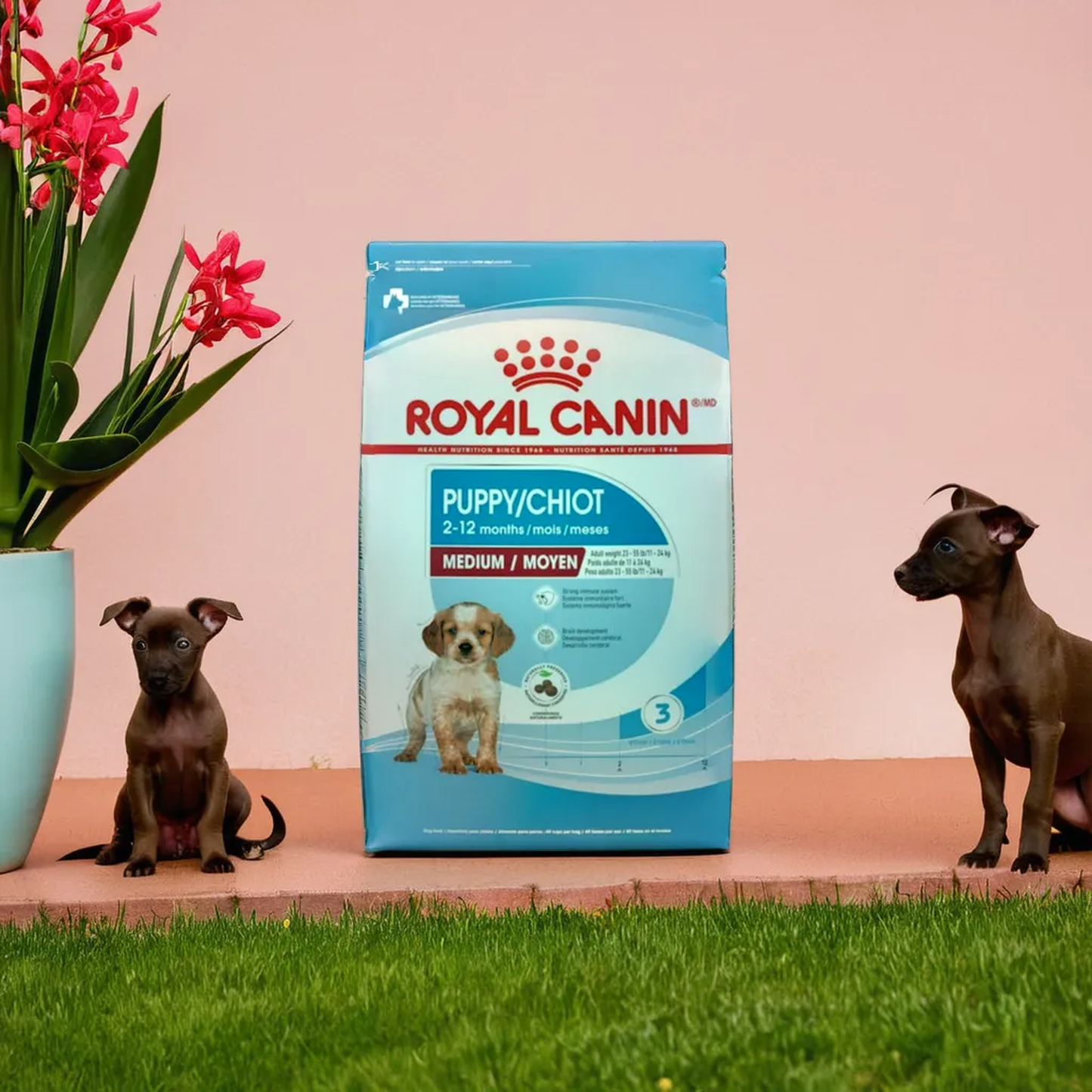 Royal Canin Medium Puppy 13.6 Kg
