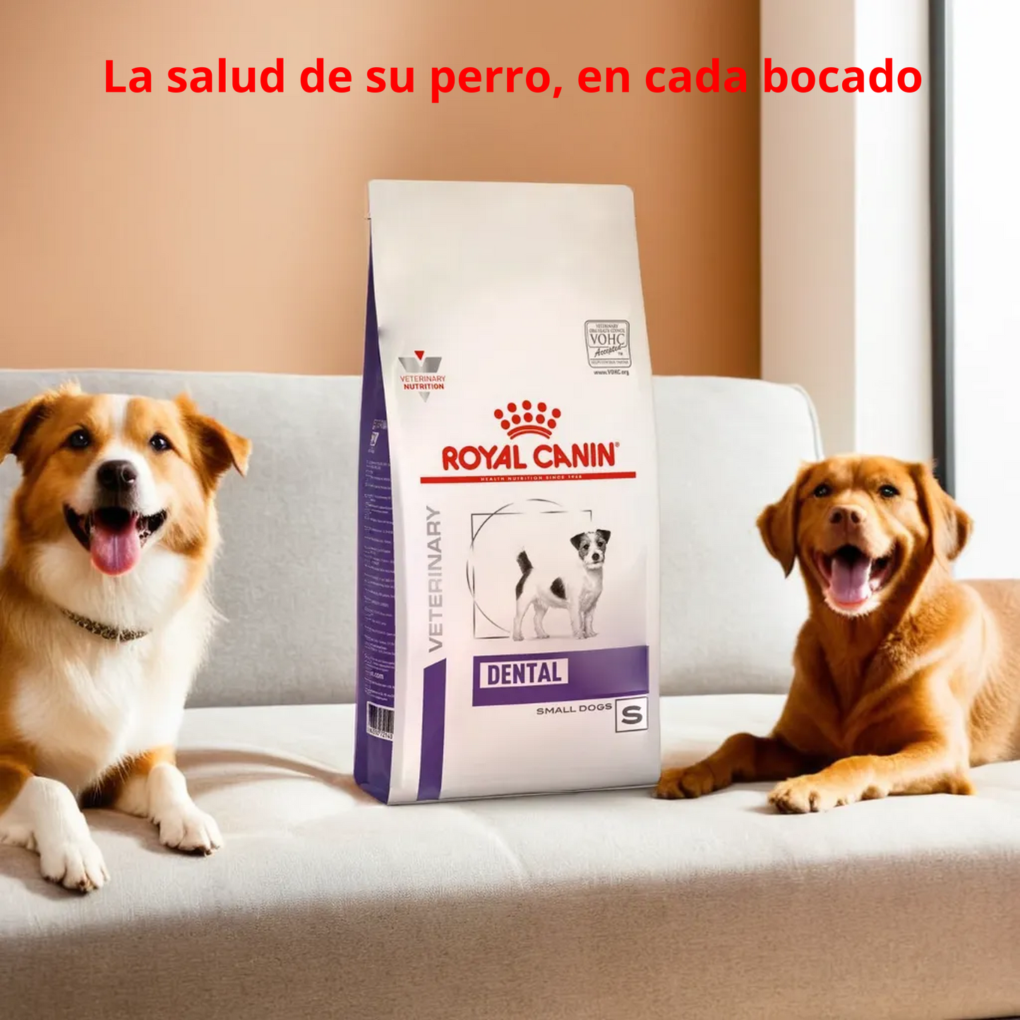 Royal Canin Dental Small Dog Dry 4 Kg