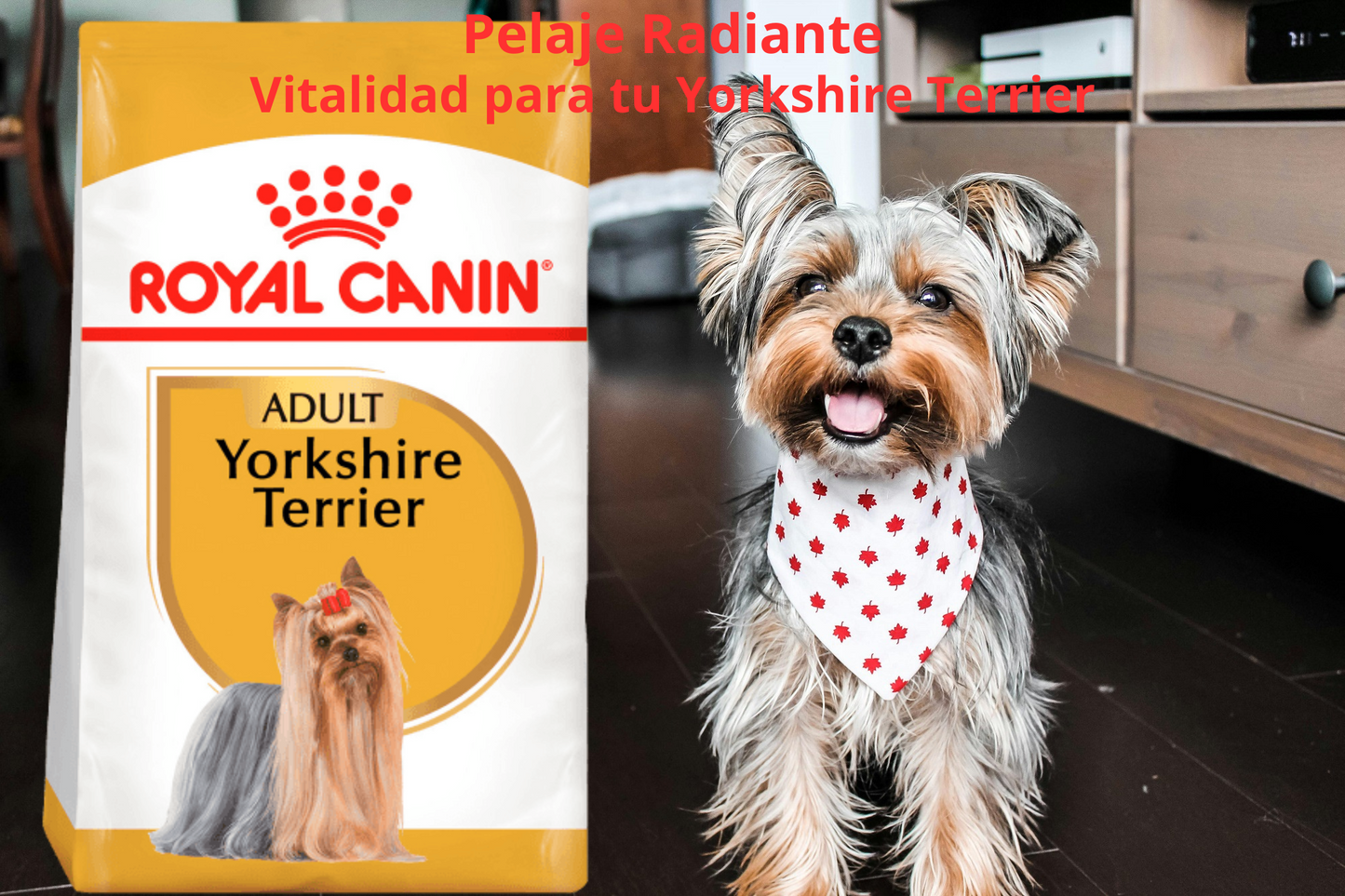 Royal Canin BHN Yorkshire Terrier 1.14 Kg