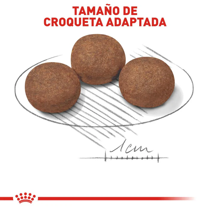 Royal Canin Medium Puppy 13.6 Kg