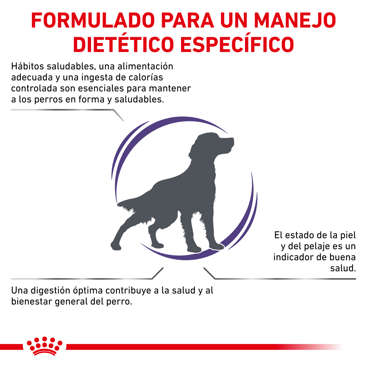 Royal Canin Canine Adult 15 Kg