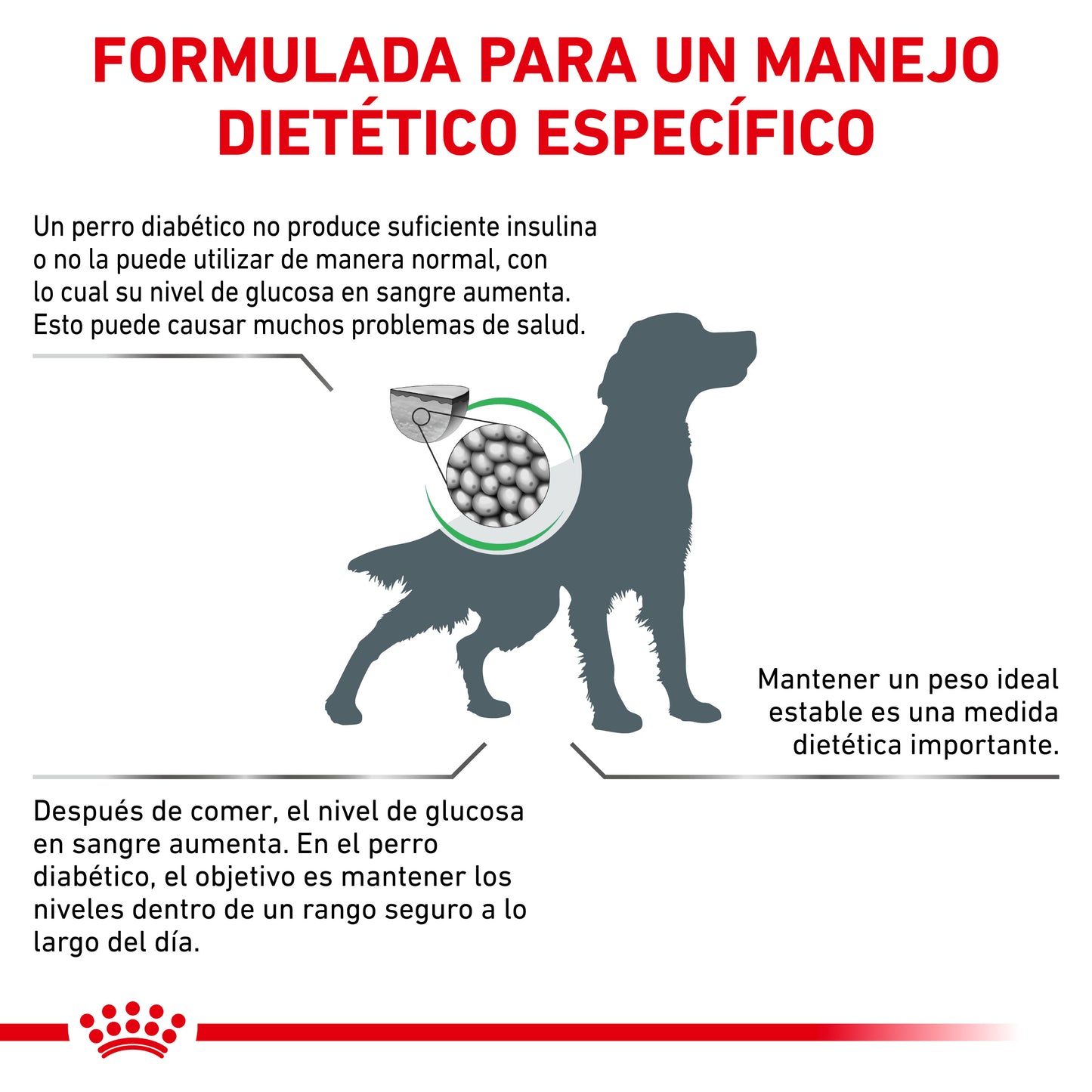 Royal Canin Glycobalance Canine 8 Kg