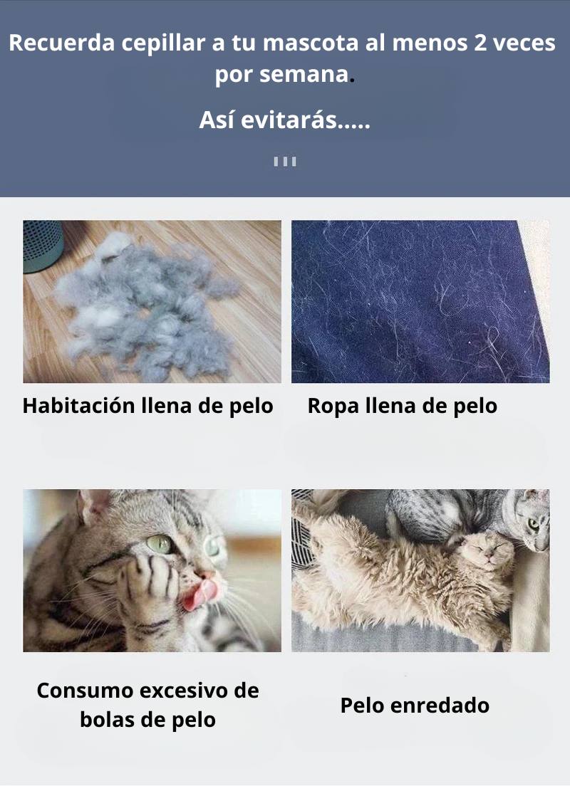Cepillo removedor de pelo, cuidado y aseo para perros y gatos de pelo largo