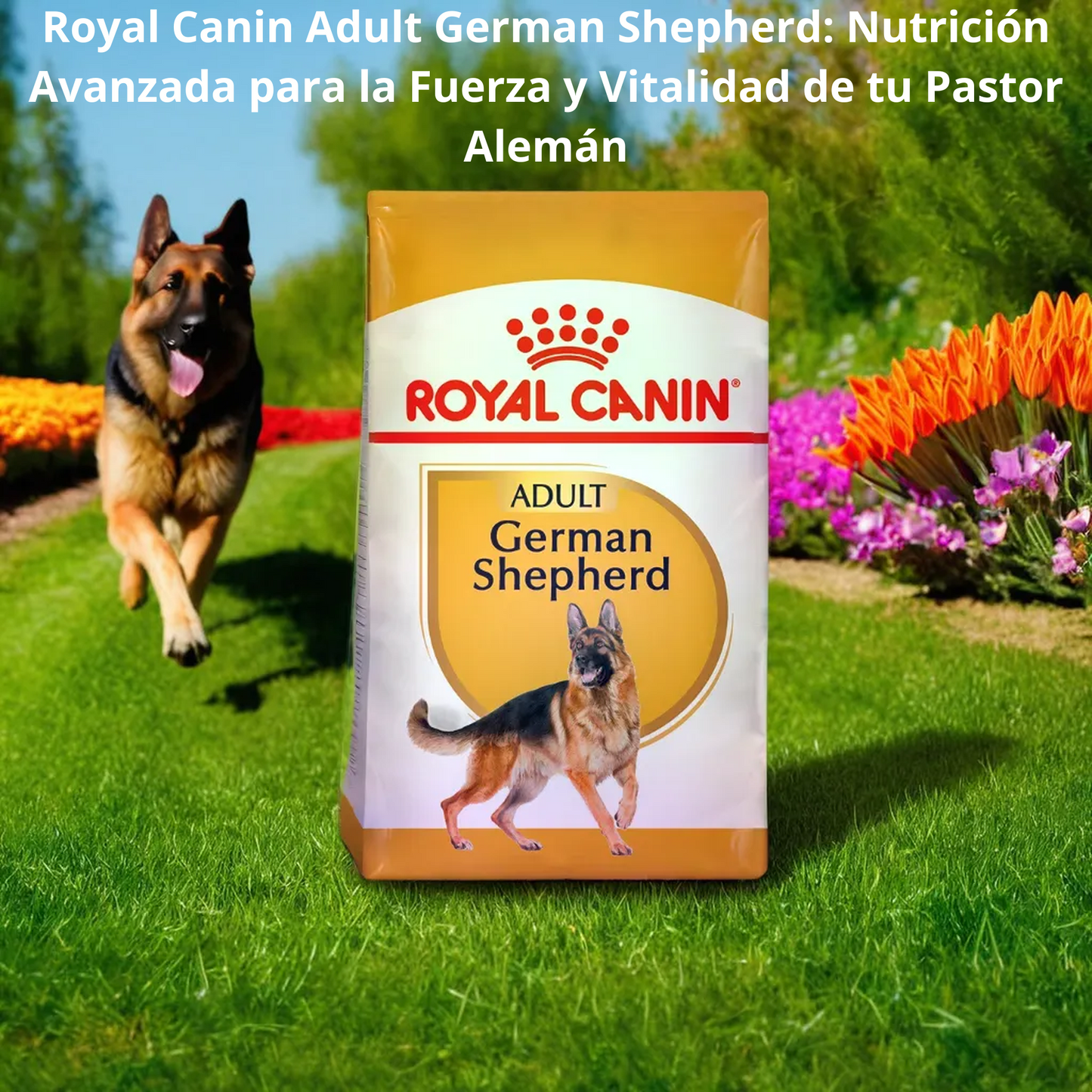 Royal Canin BHN German Shepherd 13.6 Kg