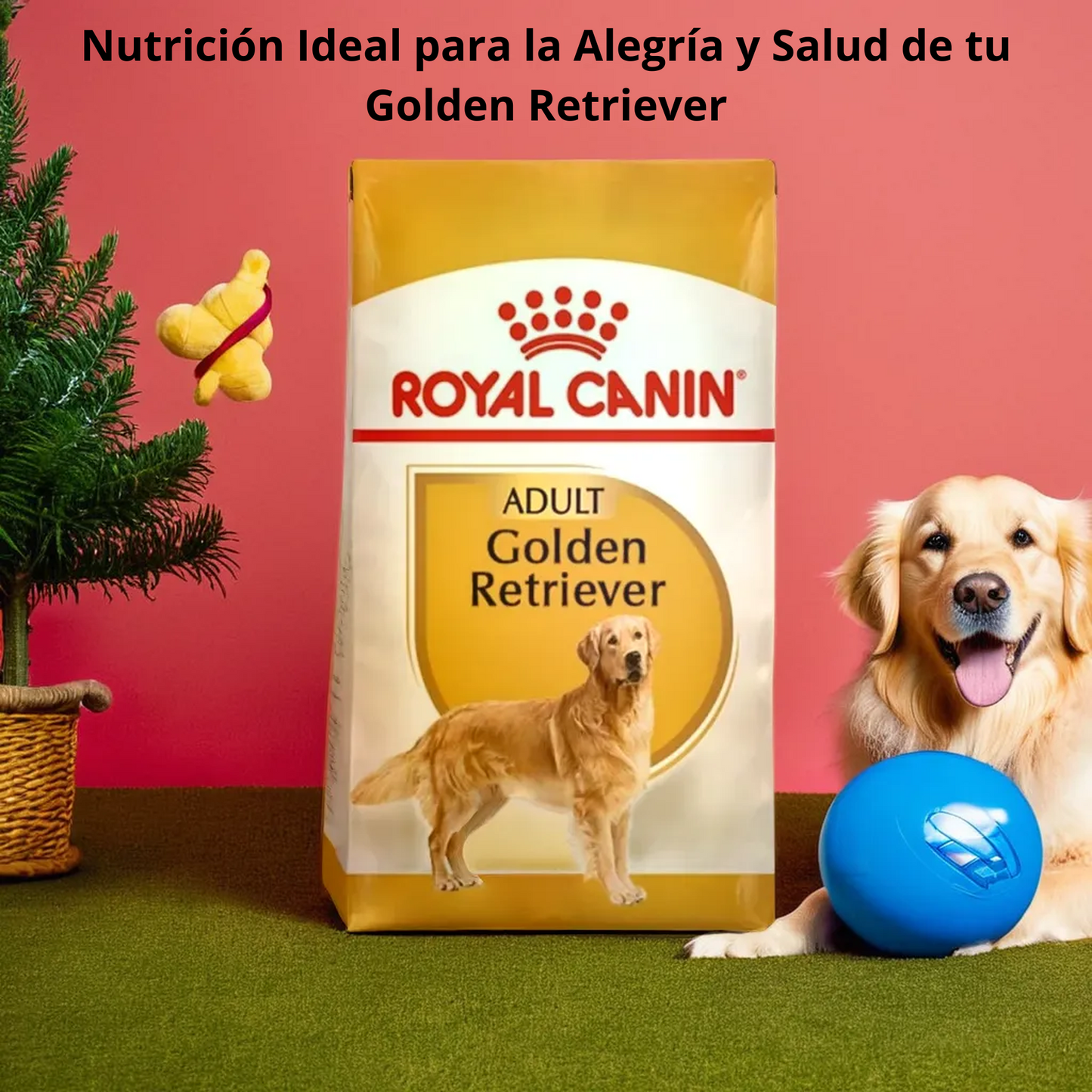 Royal Canin BHN Golden Retriever Adult 13.6 Kg