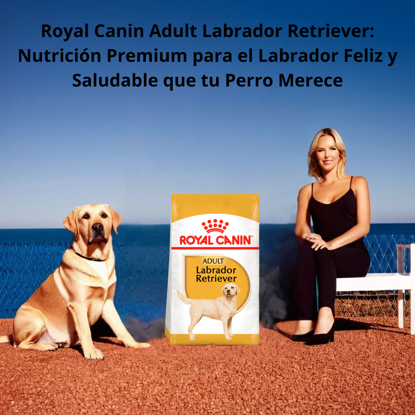 Royal Canin BHN Labrador Retriever 13.6 Kg