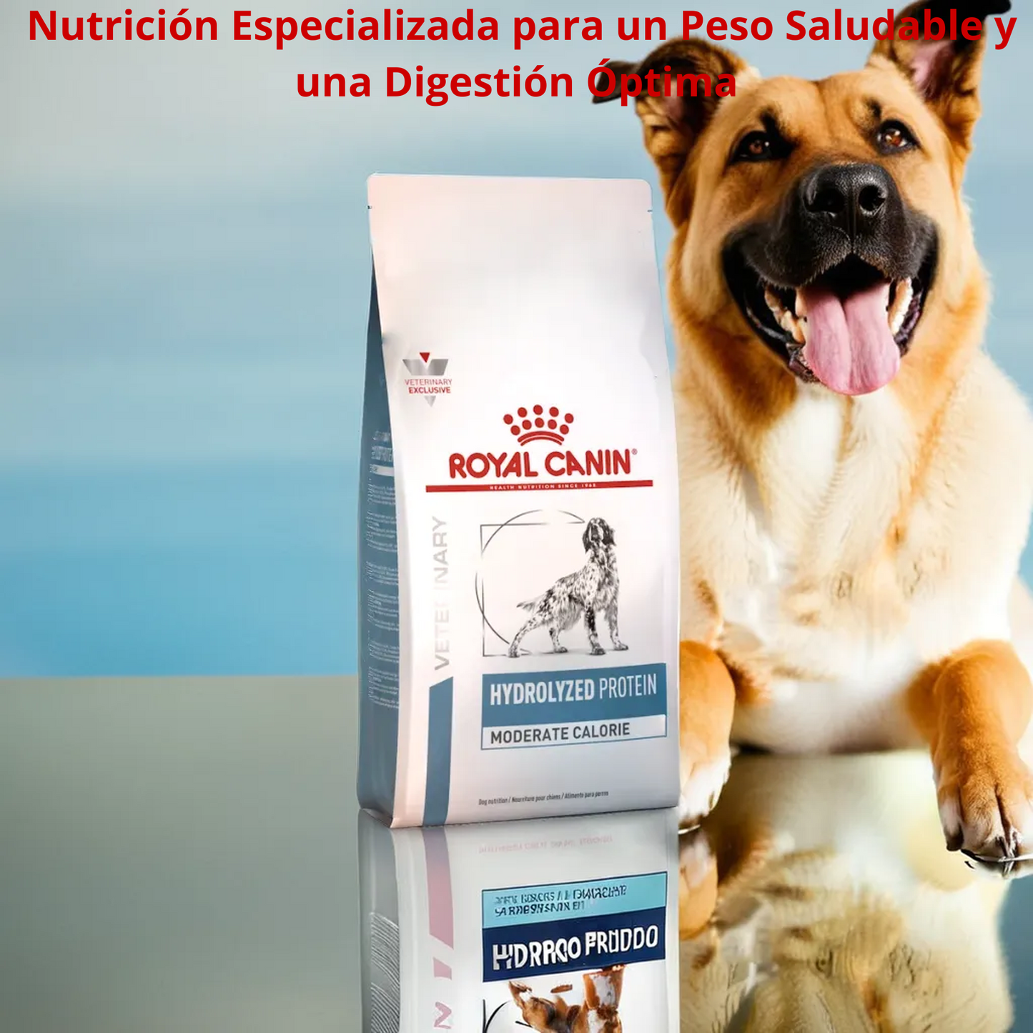 Royal Canin Hydrolyzed Protein Moderate Calorie 11 Kg