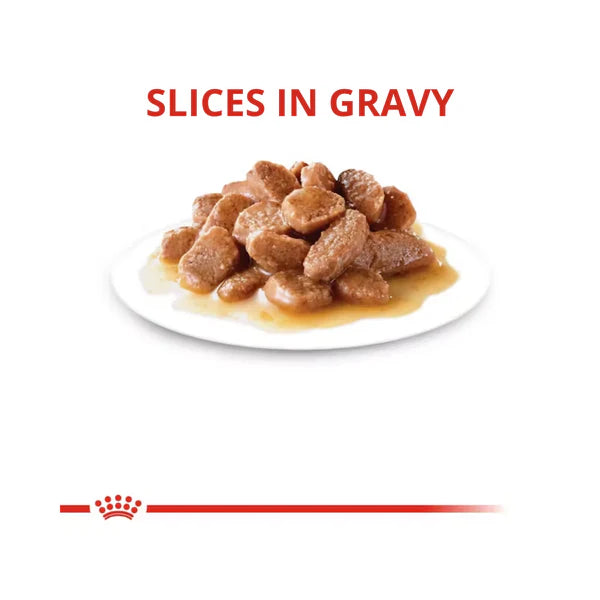 Royal Canin Instinctive Senior 7+ – Alimento Húmedo en Lata para Gato Adulto Mayor