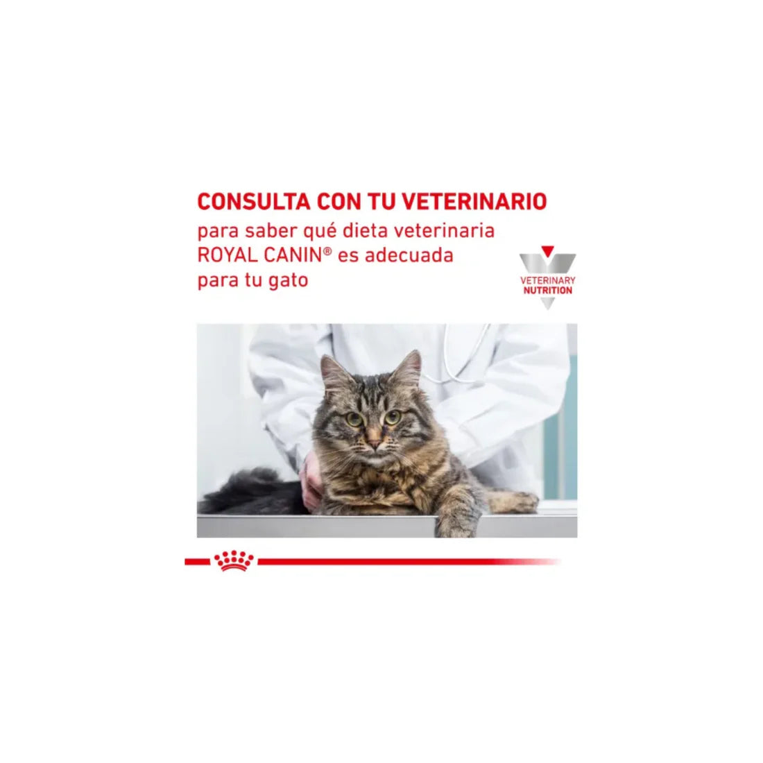 Royal Canin Mature Consult Moderate Calorie Feline – Alimento para Gato Adulto Mayor con Calorías Controladas (Fórmula Veterinaria)