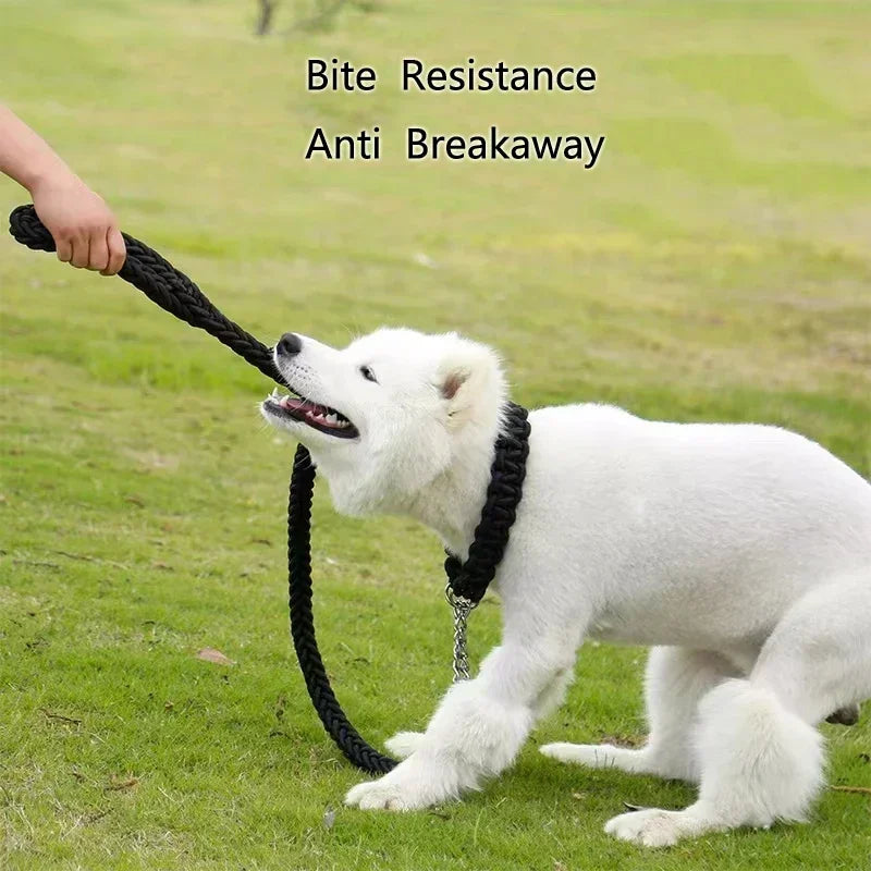 Correa resistente de nylon para perros medianos y grandes; para entrenamiento, caminatas y senderismo