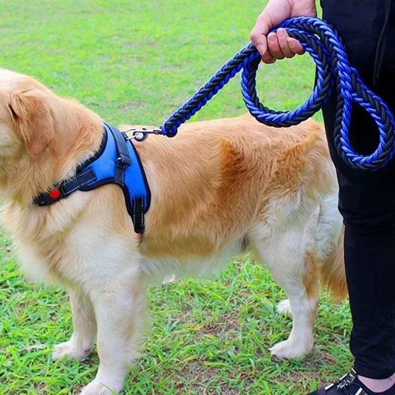 Correa resistente de nylon para perros medianos y grandes; para entrenamiento, caminatas y senderismo