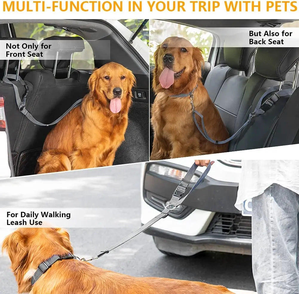 Cinturón de seguridad y arnés-collar con correa 2 en 1 para perros y gatos, ajustable al automóvil